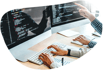 Software-Beratung von FALCONFOX