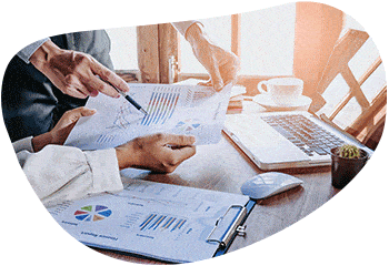 Analytics & Controlling von FALCONFOX